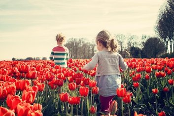 a couple of children walking in a field of red flowers