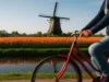 10 passeios imperdíveis na Holanda em 2026