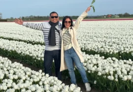 2026 Hollanda Turları: En İyi Günlük Rotalar