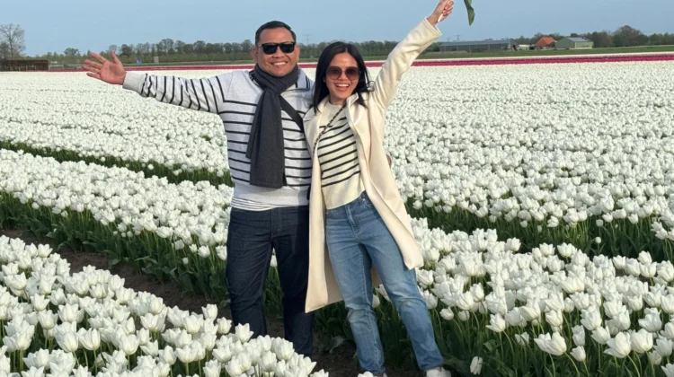 2026 Hollanda Turları: En İyi Günlük Rotalar