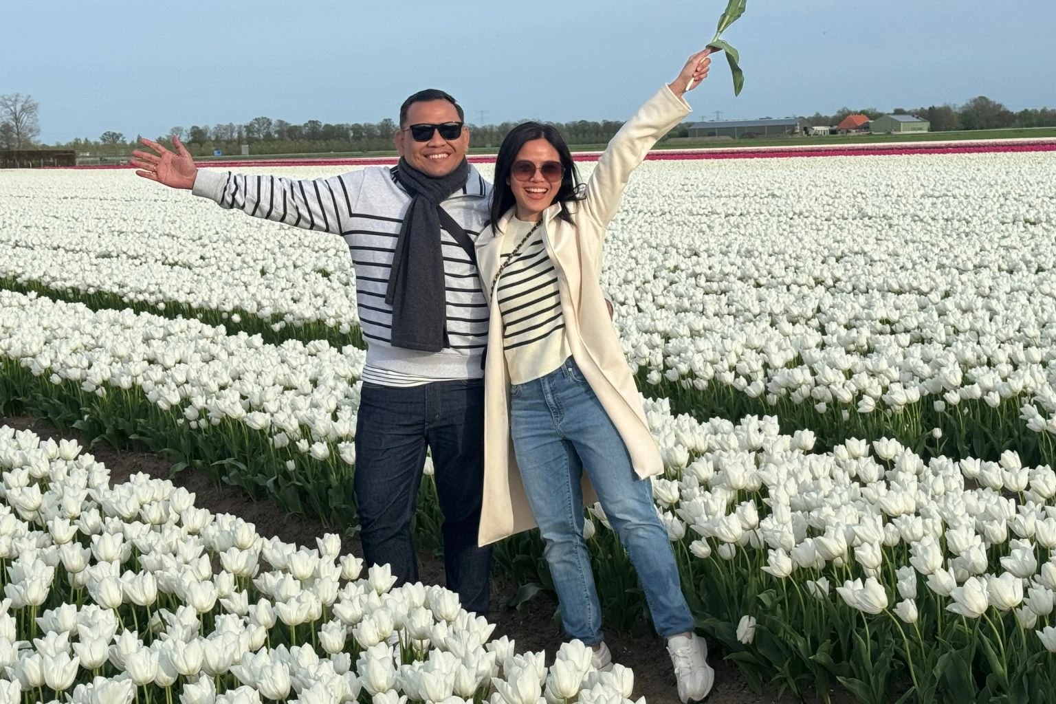 2026 Hollanda Turları: En İyi Günlük Rotalar