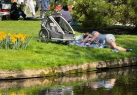 Top 10 Niederlande-Reisen 2026 ab Amsterdam