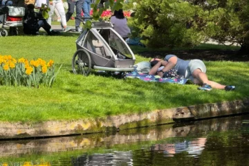 Top 10 Niederlande-Reisen 2026 ab Amsterdam