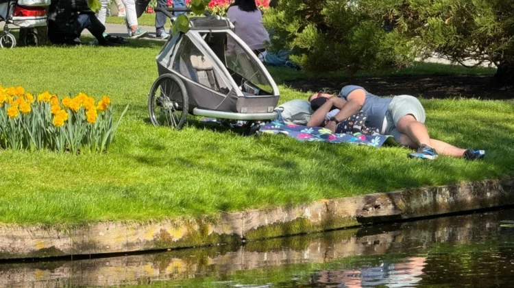 Top 10 Niederlande-Reisen 2026 ab Amsterdam