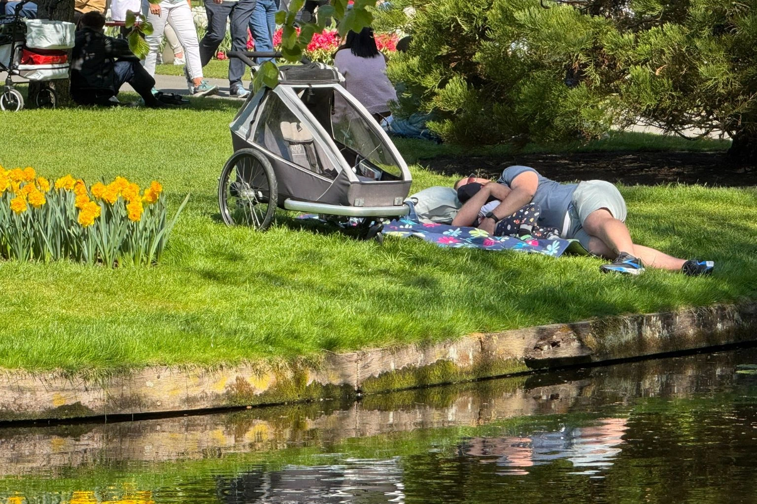 Top 10 Niederlande-Reisen 2026 ab Amsterdam