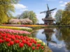 Best Time to Visit Keukenhof