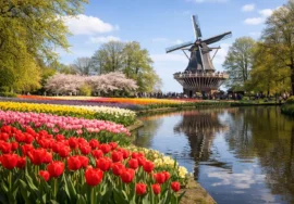 Best Time to Visit Keukenhof
