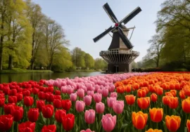 Keukenhof 2026 Opening Dates and Best Days