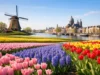Best Spring Flowers Near Amsterdam