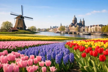 Best Spring Flowers Near Amsterdam