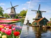Keukenhof or Zaanse Schans? Choose Right