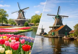 Keukenhof or Zaanse Schans? Choose Right