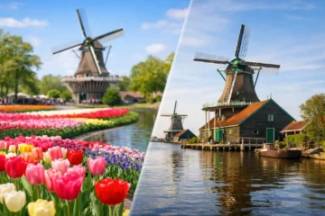 Keukenhof or Zaanse Schans? Choose Right