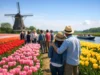 Skip the Line Tulip Tours Worth Booking