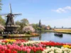 Spring Netherlands Itinerary With Keukenhof Day