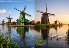 Zaanse Schans vs Kinderdijk Windmills Trip
