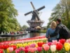 7 Best Keukenhof Tour Packages to Book
