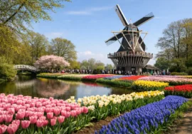 When Does Keukenhof Open 2026?