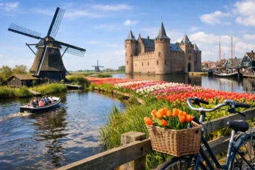 Premium Netherlands Day Trips Worth Taking