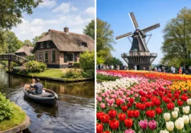 Giethoorn or Keukenhof Day Trip: Which Is Best?