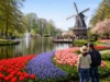 Keukenhof 2026 Visitor Guide