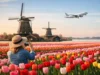 Netherlands Tulip Travel Trends in 2026