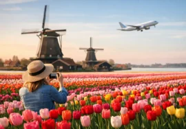 Netherlands Tulip Travel Trends in 2026