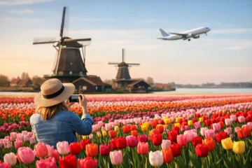 Netherlands Tulip Travel Trends in 2026