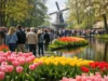 Keukenhof Crowd Levels by Weekday and Time