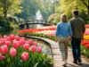 Skip the Line Tulip Gardens for a Better Day