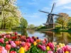 A Keukenhof Spring Trip Example for One Perfect Day