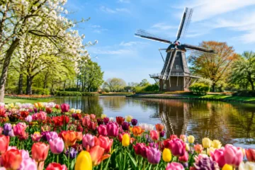 A Keukenhof Spring Trip Example for One Perfect Day