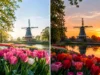 Keukenhof Morning Versus Afternoon: Which Wins?
