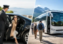 Private Driver or Coach Tour: Which Fits You?