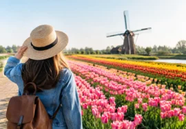 How Early Should I Book Tulip Tours for Spring?